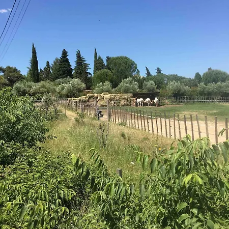 Nyaraló Maison Independante Avec Piscine Aigues-Vives